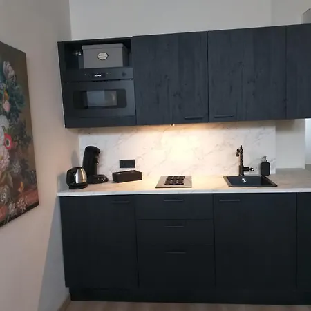 Apartamento Aan De Geul *