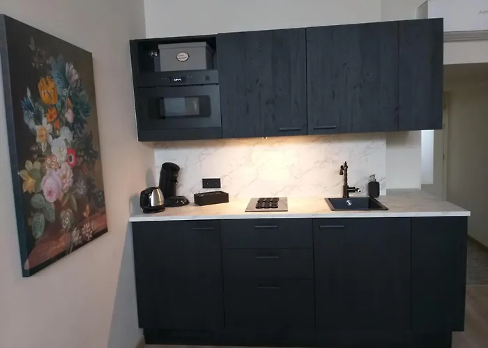 Апартаменты Aan De Geul *